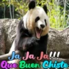 Dilo con Panditas🐼֍1🇲🇽Clásica 9
