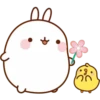 Molang 11