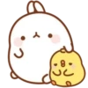 Molang 12
