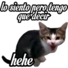 😽Michitos Randoms 😺 6