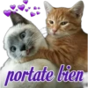 😽Michitos Randoms 😺 7