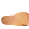 Mr. Capybara 12