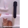шутки кончелись