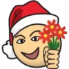 Emoticones Navideños💞1🇵🇪Clásica 9