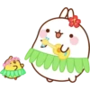 Molang 13
