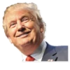 Donald Trump 8