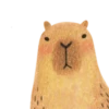 Mr. Capybara 13
