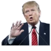 Donald Trump 9