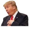 Donald Trump 10
