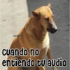 🧿Memes pop 2😎👌🏻 10