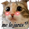 😽Michitos Randoms 😺 10