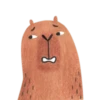 Mr. Capybara 14
