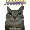 😽Michitos Randoms 😺 11
