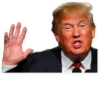 Donald Trump 12