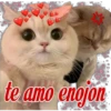 😽Michitos Randoms 😺 12