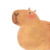 Mr. Capybara 15