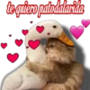 😽Michitos Randoms 😺 13