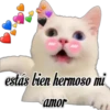 😽Michitos Randoms 😺 14
