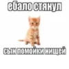 ебало стянул сын помойки нищей