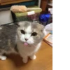 Baby 9