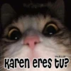 🧿Memes pop 2😎👌🏻 12