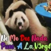 Dilo con Panditas🐼֍1🇲🇽Clásica 12