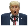 Donald Trump 13