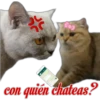 😽Michitos Randoms 😺 15
