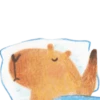 Mr. Capybara 16