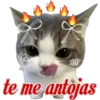 😽Michitos Randoms 😺 16