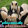 Dilo con Panditas🐼֍1🇲🇽Clásica 14