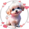 Perritos Tiernos ✺4🇻🇪 17
