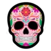Día de los Muertos☠️🏵❥☯︎ͫ1🇲🇽Clásica 15