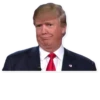 Donald Trump 15