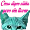 😽Michitos Randoms 😺 19