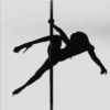 Pole Dance💄1🇲🇽Clásica 12