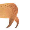 Mr. Capybara 20