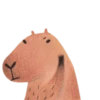 Mr. Capybara 21