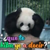 Dilo con Panditas🐼֍1🇲🇽Clásica 17