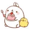 Molang 16