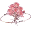 Variaditos de Cristal💞1🇵🇪Clásica 15