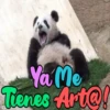 Dilo con Panditas🐼֍1🇲🇽Clásica 19