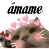 😽Michitos Randoms 😺 20