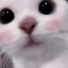 Cute_yoongi :: 21