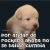 🧿Memes pop 2😎👌🏻 16