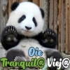 Dilo con Panditas🐼֍1🇲🇽Clásica 20