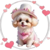 Perritos Tiernos ✺4🇻🇪 22