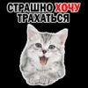 CTPALLIHO XOчY ТРАХАТЬСЯ