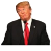 Donald Trump 17