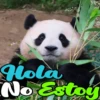 Dilo con Panditas🐼֍1🇲🇽Clásica 21